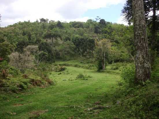 , POR VERA LUCIA - SERRA DOS GREGRIOS - RS