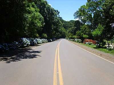 ENTRADA DA CIDADE POR
AURI BRANDO - SEVERIANO DE ALMEIDA - RS