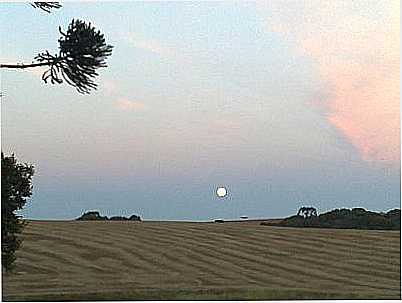 NATUREZA- TIAGOZFOTOS - SOLEDADE - RS
