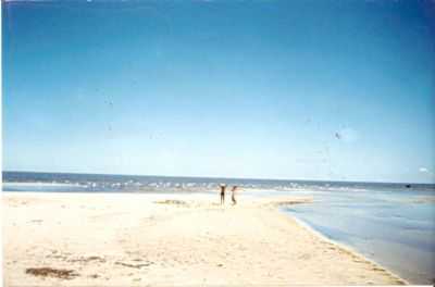 PRAIA DO TAIM -, POR DANIEL SANTOS - TAIM - CAPILHA - RS - BRASIL - TAIM - RS