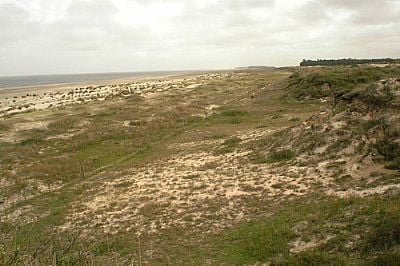 LAGOA MIRIM- TIAGOBENEDETTI - TAIM - RS