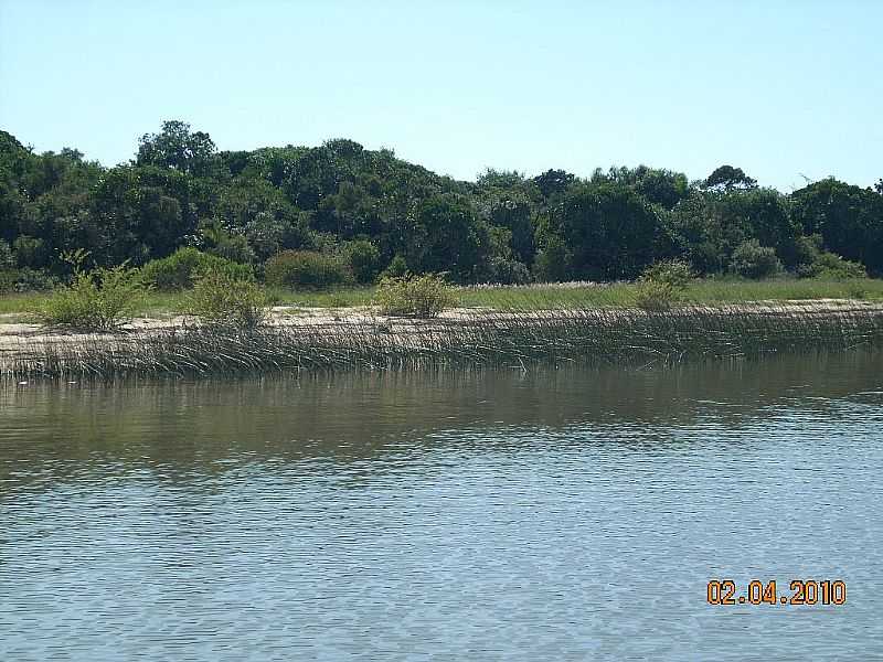 TAPES-RS-MARGEM DA LAGOA DOS PATOS E A MATA-FOTO:ECO.PATAS - TAPES - RS