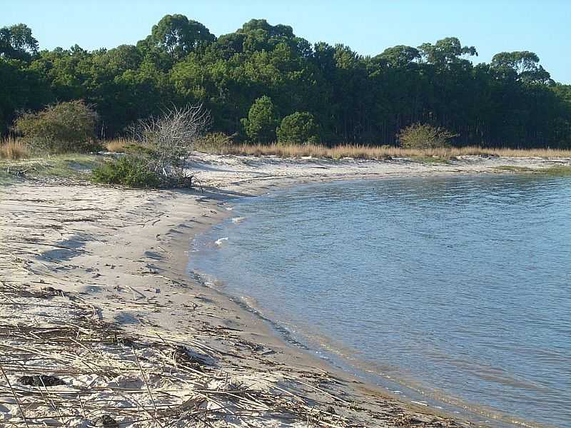 TAPES-RS-PRAIA DESERTA NA LAGOA DOS PATOS-FOTO:ECO.PATAS - TAPES - RS