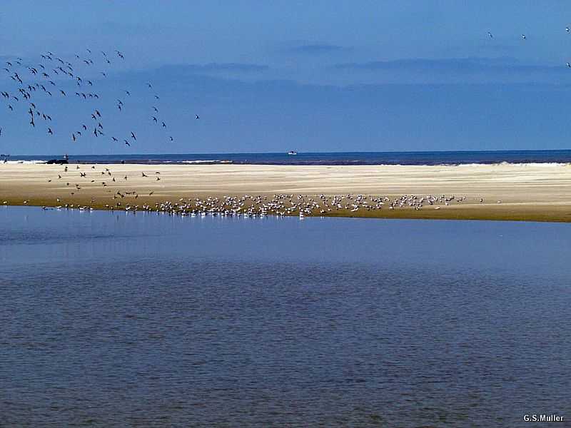 TAVARES-RS-PARQUE NACIONAL LAGOA DO PEIXE-FOTO:GILBERTO SANDER MLLER - TAVARES - RS