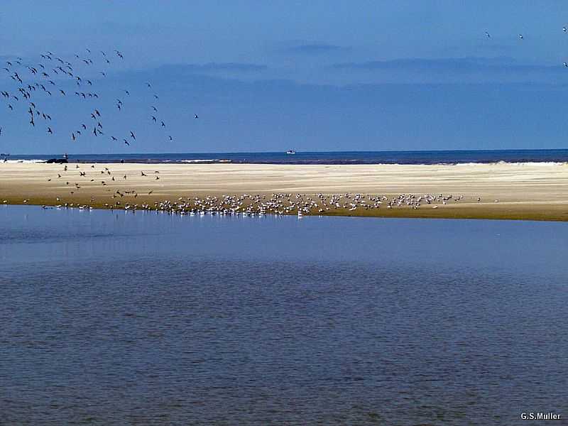 TAVARES-RS-PARQUE NACIONAL LAGOA DO PEIXE-FOTO:GILBERTO SANDER MLLER - TAVARES - RS