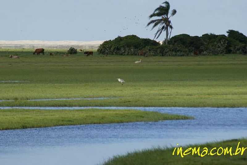 TAVARES-RS-PARQUE NACIONAL LAGOA DO PEIXE-FOTO:INEMA.COM.BR - TAVARES - RS