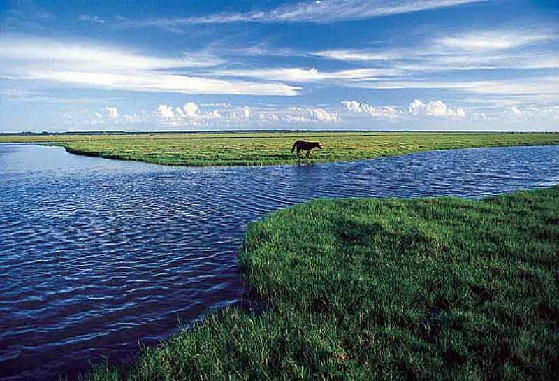 TAVARES-RS-PARQUE NACIONAL LAGOA DO PEIXE-FOTO:NEDE LOSINA - TAVARES - RS