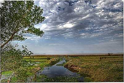 PAISAGEM-FOTO:GERMANO SCHR  - TERRA DE AREIA - RS