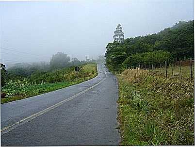 DESCENDO DA LAGOA DA HARMONIA-FOTO:ARCHIMEDES (MEDI) - TEUTNIA - RS