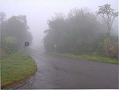 DESCENDO DA LAGOA DA HARMONIA-FOTO:ARCHIMEDES (MEDI) - TEUTNIA - RS