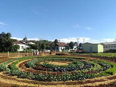 HORTA COMUNITRIA EM FORMA DE MANDALA-FOTO:LUIS CARLOS PADILHA  - TIRADENTES DO SUL - RS