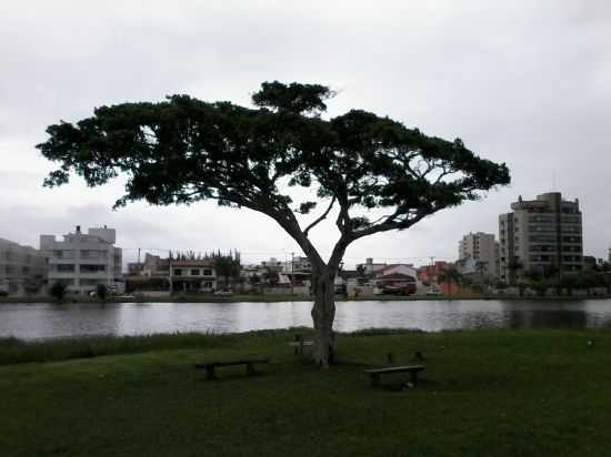 LAGOA VIOLO /FOTO LAURO ROCHO, POR MANOEL ALAOR DA SILVA - TORRES - RS