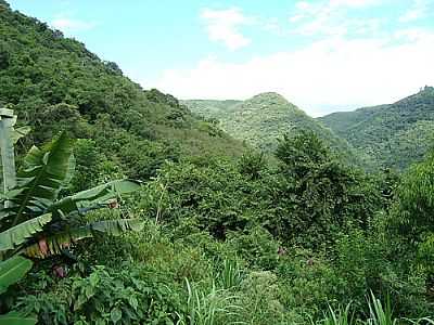 VISTA DA SERRA-FOTO:CESAR.RUVER - TRAVESSEIRO - RS