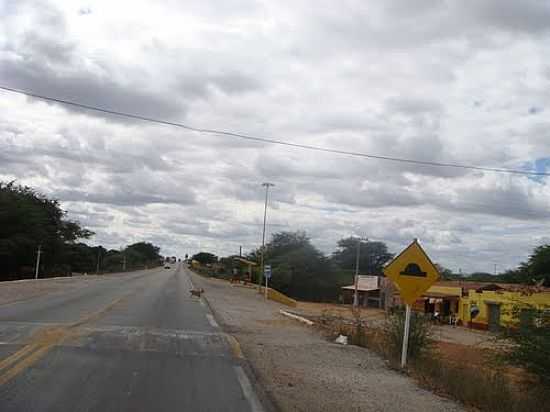 RODOVIA LAMANTO JUNIOR,BR 47 EM MASSAROCA-FOTO:JORGE HIRATA - MASSAROCA - BA