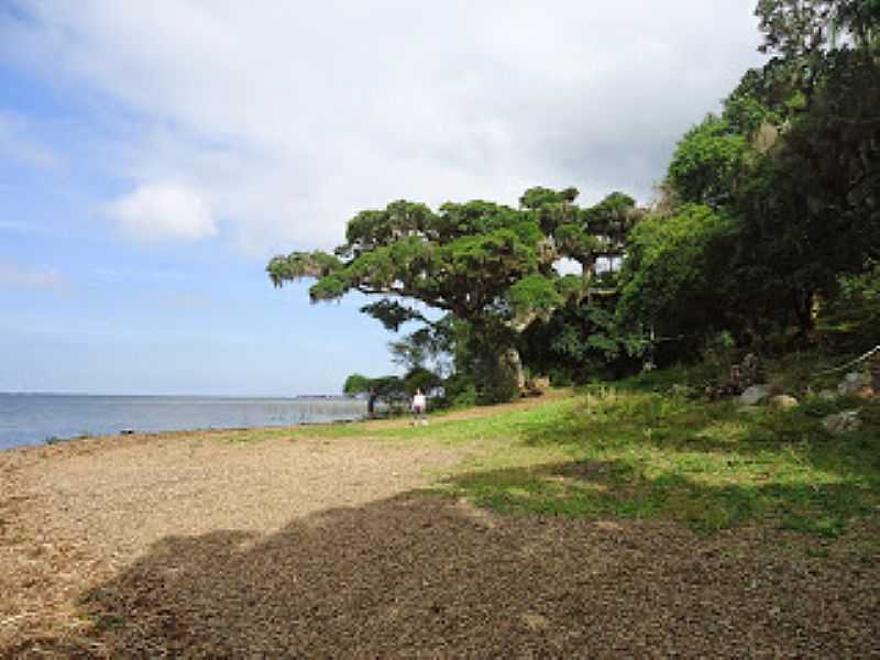 TRS CACHOEIRAS-RS-ORLA DA PRAINHA NA LAGOA ITAPEVA-FOTO:LISIANE ACOSTA RAMOS - TRS CACHOEIRAS - RS