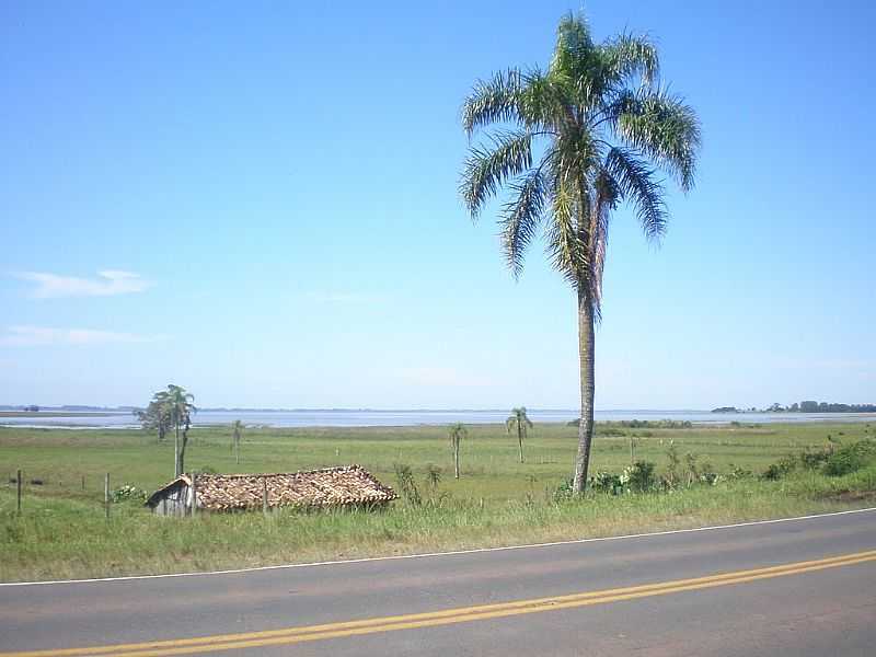 TRS CACHOEIRAS-RS-VISTA DA REGIO  PARTIR DA RODOVIA-FOTO:ALUMOREIRA - TRS CACHOEIRAS - RS