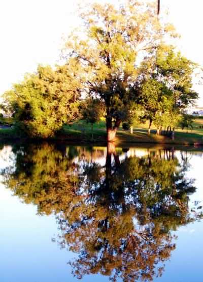 PARQUE DO LAGO, POR MARCELO NECKEL - TRS PASSOS - RS