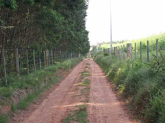 TRIUNFO-RS-ESTRADA RURAL-FOTO:ENGFURG - TRIUNFO - RS