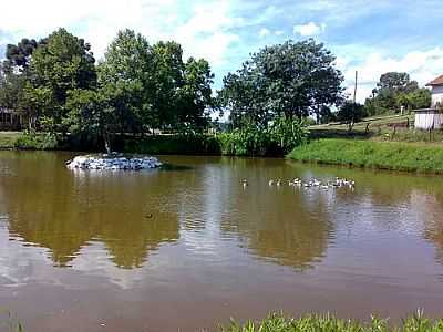 LAGO NA GRANJA DO IFRS-FOTO:EDUARDO PINHEIRO DE   - TUIUTI - RS