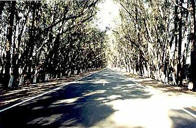 ENTRADA DA CIDADE-ACISP.NET - TNEL VERDE - RS