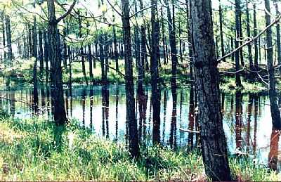 LAGOA DA CERQUINHA- - TNEL VERDE - RS