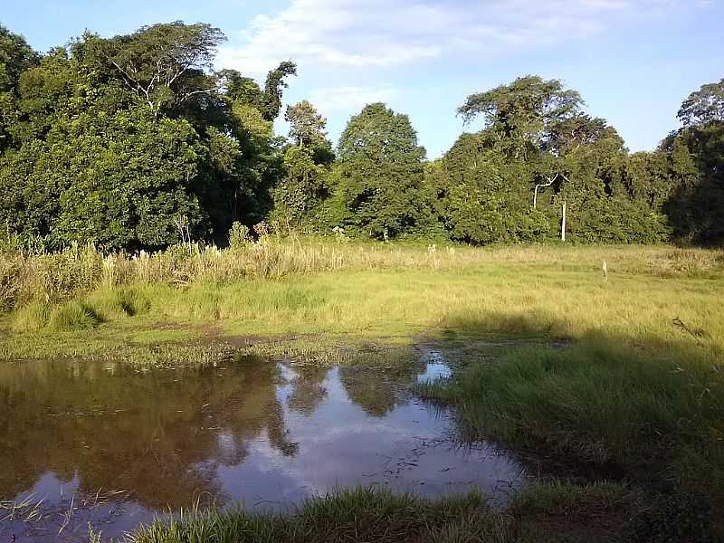 TUPARENDI-RS-LAGO NO INTERIOR DA CIDADE-FOTO:ELTON WISCH - TUPARENDI - RS