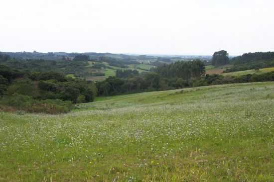 PAISAGEM DO INTERIOR DE TURUU, POR NERCI POLLNOW - TURUU - RS