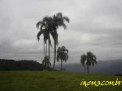 PAISAGEM - UMBU - RS