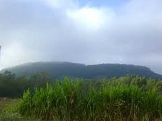 VISTA DO CERRO DO CHILENO-VALE VERDE-RS-FOTO:FELIPE D. D. OLIVEIR - VALE VERDE - RS