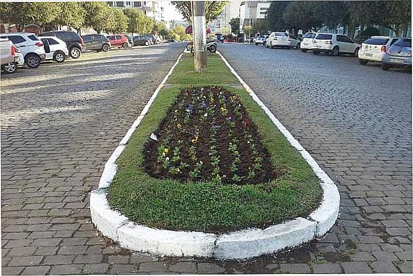 VERANPOLIS-RS-CANTEIRO NA AVENIDA CENTRAL-FOTO:PIONEIRO.CLICRBS.COM.BR - VERANPOLIS - RS