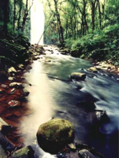 CASCATA DO PORONGO, POR SUELEM GABOARDI - VILA MARIA - RS