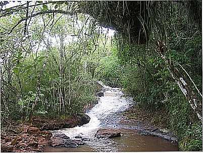 CACHOEIRINHA DA CASCATA-FOTO:ALINEMURILLO  - VILA TURVO - RS