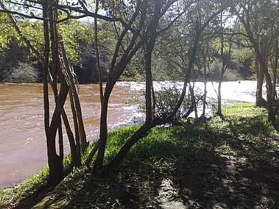 MARAVILHAS DA NATUREZA-FOTO:ALINEMURILLO  - VILA TURVO - RS