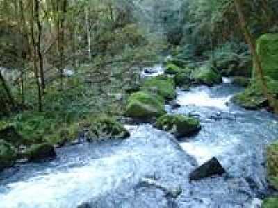 VALE RIO MARCELINO-DONIN, POR ALCEU DONIN - VISTA ALEGRE DO PRATA - RS