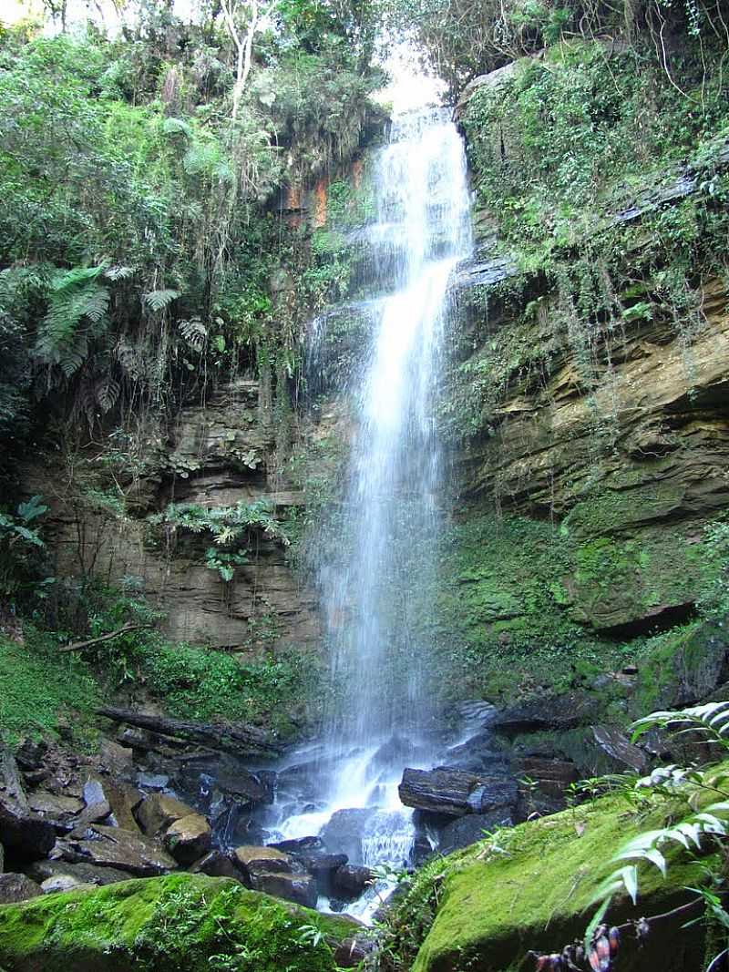 AGROLNDIA-SC-CACHOEIRA DO VALE DAS ARTES-FOTO:SIDNEI RECCO - AGROLNDIA - SC