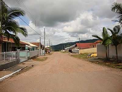 RUA DA CIDADE-FOTO:LEONOR HILLESHEIM  - AGRONMICA - SC