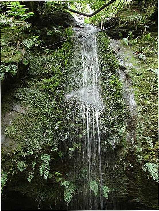 CACHOEIRA DO STIO MACACO EM GUA DOCE-SC-FOTO:DIEGO AUGUSTO LUCHES - GUA DOCE - SC