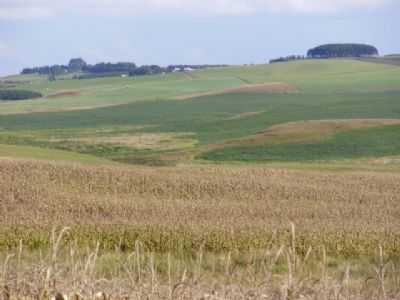 REGIO DE BELAS FAZENDAS , POR JEAN PATRIK OSELAME - GUA DOCE - SC