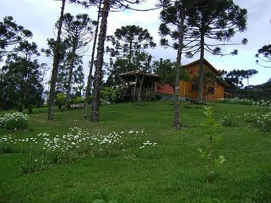 PROPRIEDADE EM REA RURAL DE GUAS BRANCAS-FOTO:JUURUBICI - GUAS BRANCAS - SC