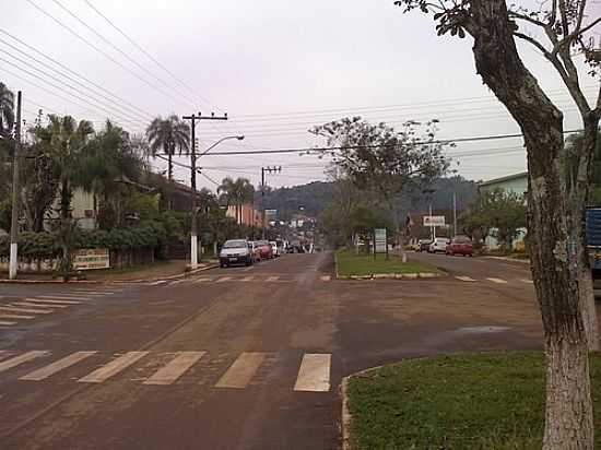 AVENIDA EM GUAS DE CHAPEC-SC-FOTO:SOUOMARCEL - GUAS DE CHAPEC - SC