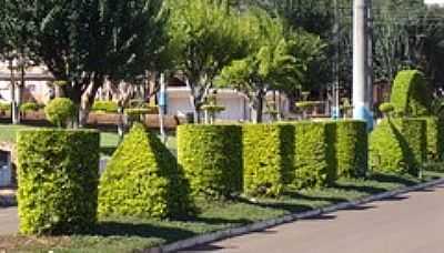 JARDIM MUNICIPAL-FOTO:SERGIO LUIZ ZAMPIERI  - GUAS FRIAS - SC