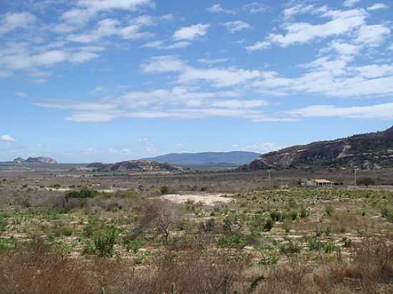 DESERTO DA REGIO DE MILAGRES-BA-FOTO:MARCELO S F - MILAGRES - BA