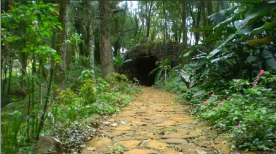 GRUTA NOSSA SENHORA DE LOURDES, POR ANDERSON CAVASIN - ANCHIETA - SC