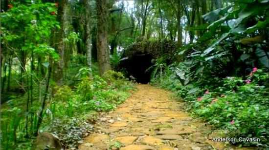 GRUTA, POR ANDERSON CAVASIN - ANCHIETA - SC