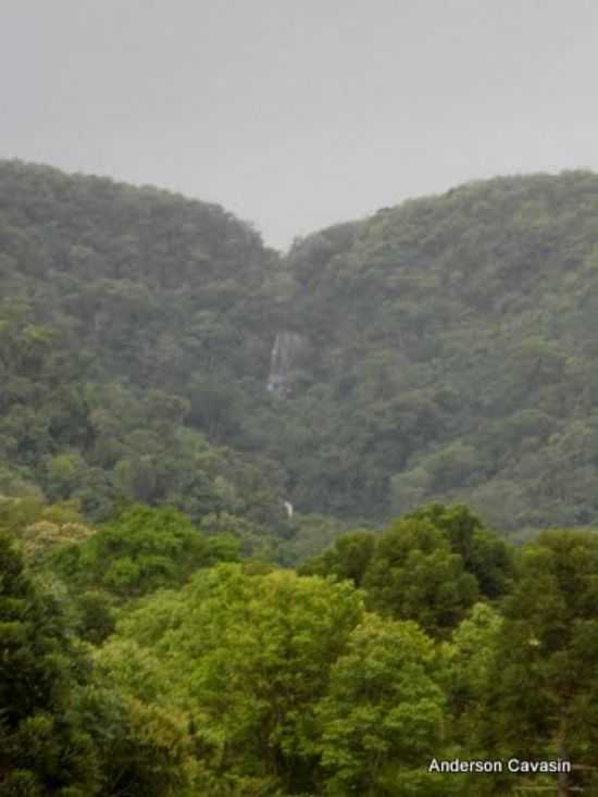 CNION DA JABOTICABEIRA, POR ANDERSON CAVASIN - ANCHIETA - SC