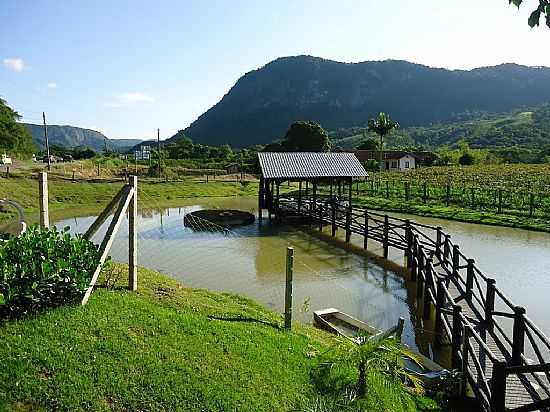 RECANTO DO BARRIL EM APINA-SC-FOTO:ELIANE DANNA,POSTADA POR RUBENS EDUARDO GIELO - APINA - SC