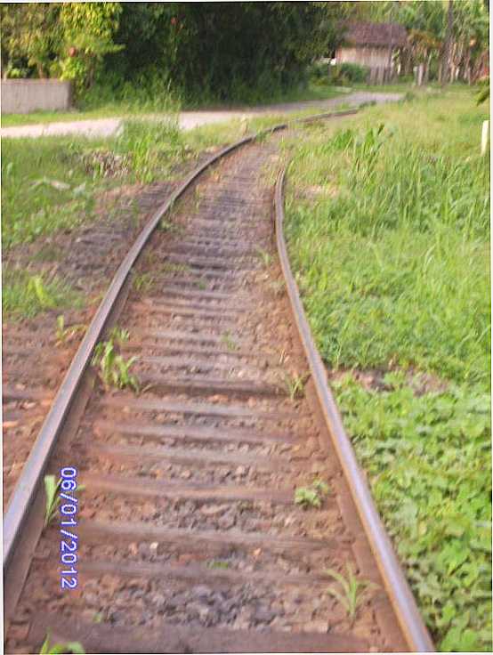 LINHA DO TREM, POR ROSA MARIA - ARAQUARI - SC
