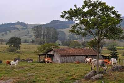 REA RURAL-FOTO:GERMANO SCHR  - ARMAZM - SC