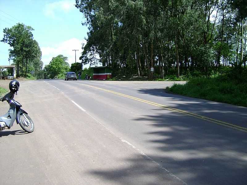 TREVO DE ACESSO A ARVOREDO NA SC 283 - ARVOREDO, SC - POR EVANDRO FALABRETTI - ARVOREDO - SC