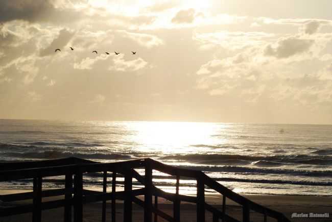 POR MARLON ANTONELLI - BALNERIO GAIVOTA - SC